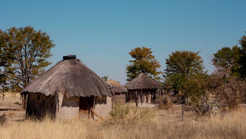 Wildlife & Wilderness of Botswana