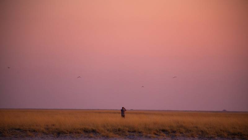 Wildlife & Wilderness of Botswana