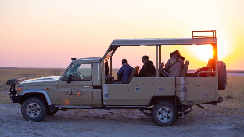 Wildlife & Wilderness of Botswana