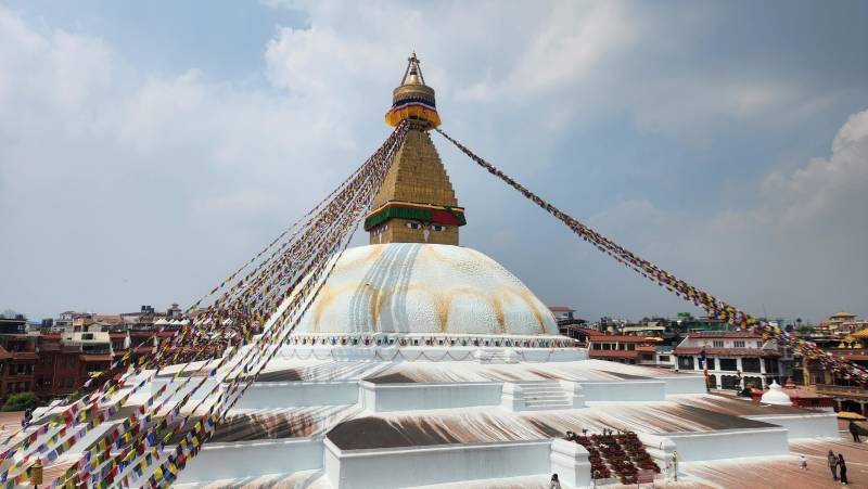 Annapurna to Chitwan: Walks & Wildlife