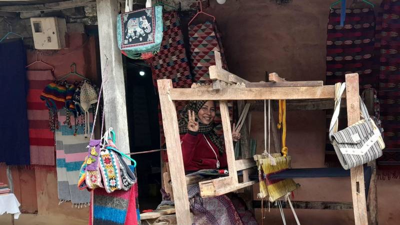 Annapurna to Chitwan: Walks & Wildlife