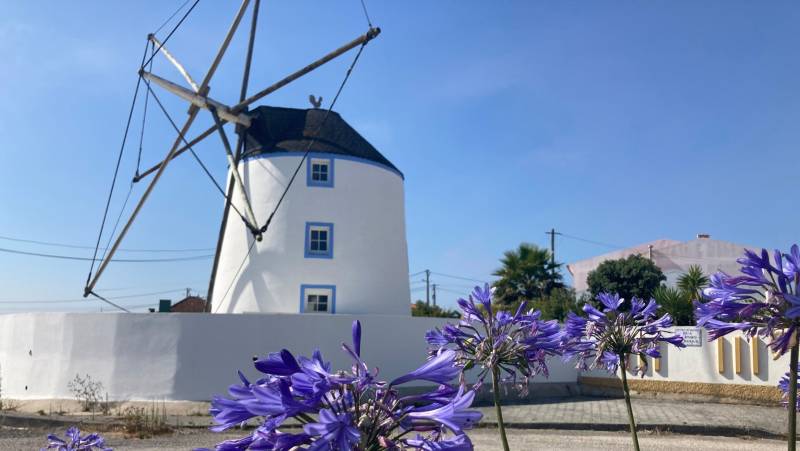 Coimbra to Lisbon Cycling