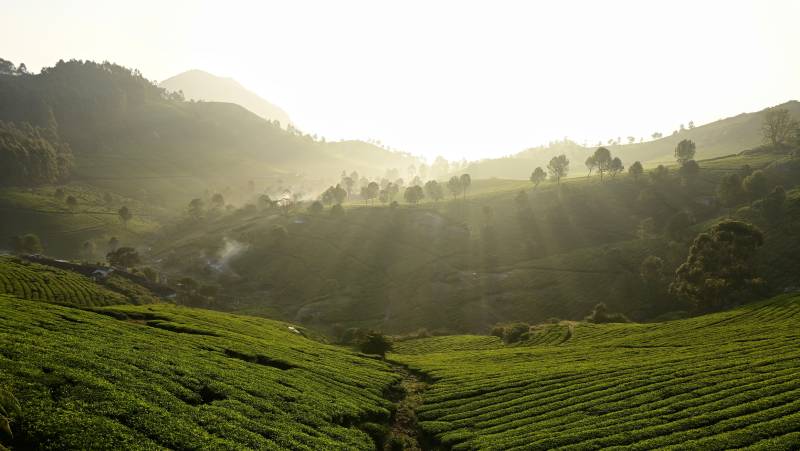 Discover South India – Premium Adventure