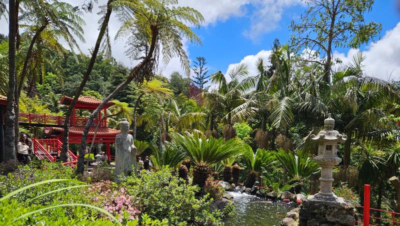 Madeira Discovery Premium Adventure