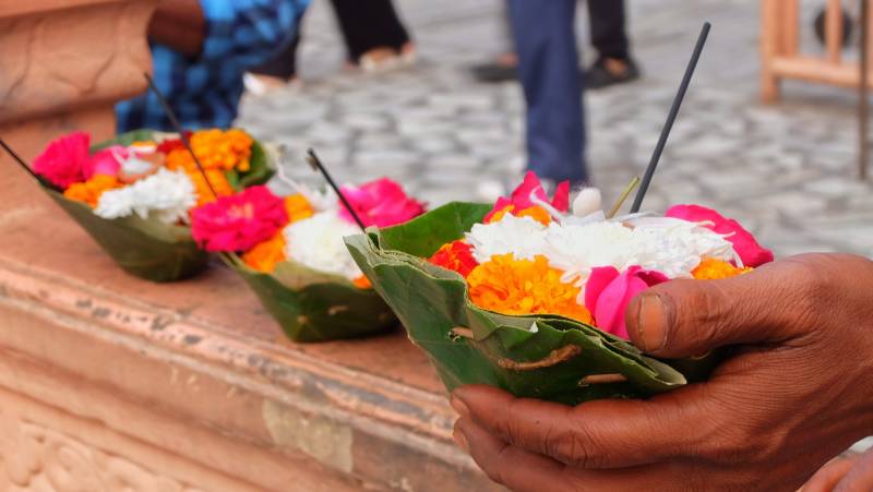 Foothills of the Himalaya