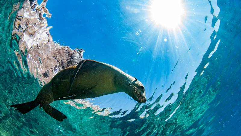 Highlights of Ecuador & the Galapagos