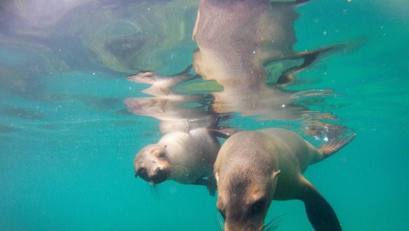 Highlights of Ecuador & the Galapagos