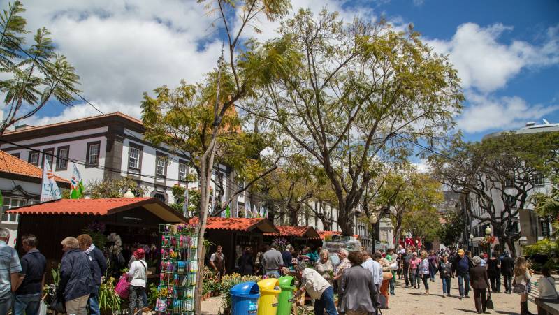 Madeira Discovery – Premium Adventure