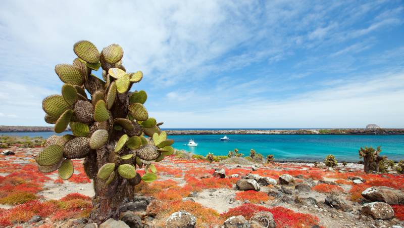 Machu Picchu & Galapagos