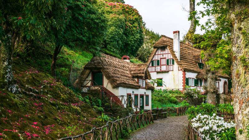 Madeira Discovery – Premium Adventure