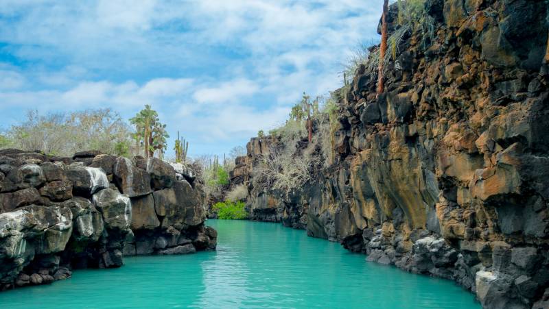 Highlights of Ecuador & the Galapagos