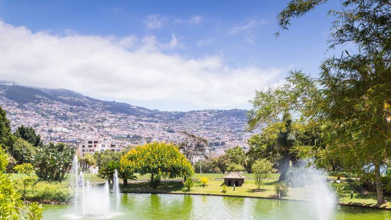 Madeira Discovery – Premium Adventure