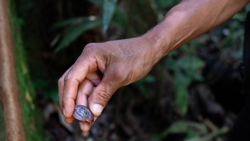 Highlights of Ecuador & the Galapagos