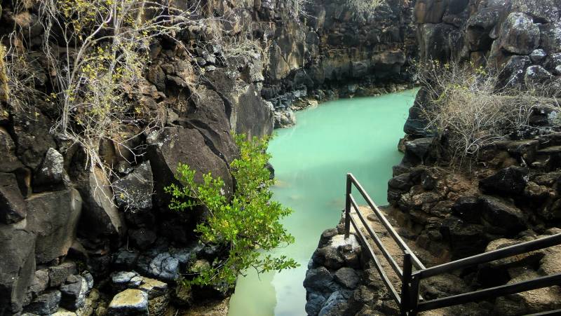 Highlights of Ecuador & the Galapagos