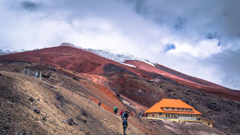 Highlights of Ecuador & the Galapagos