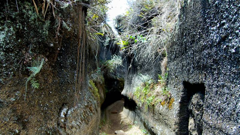 Highlights of Ecuador & the Galapagos