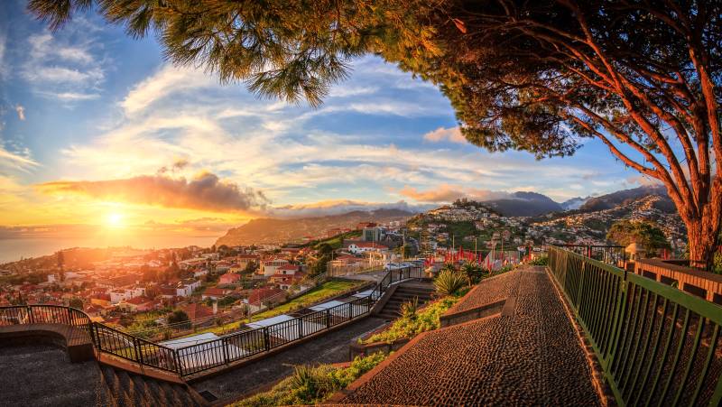 Madeira Discovery – Premium Adventure