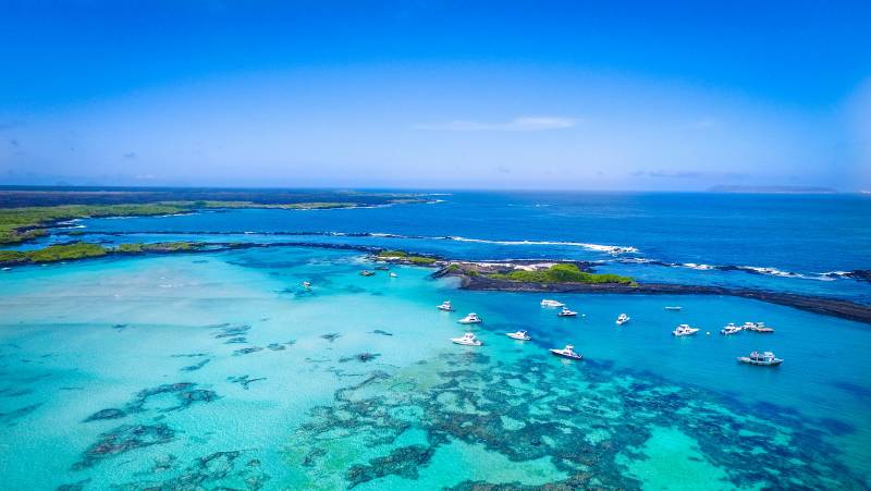 Highlights of Ecuador & the Galapagos