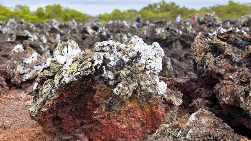 Highlights of Ecuador & the Galapagos