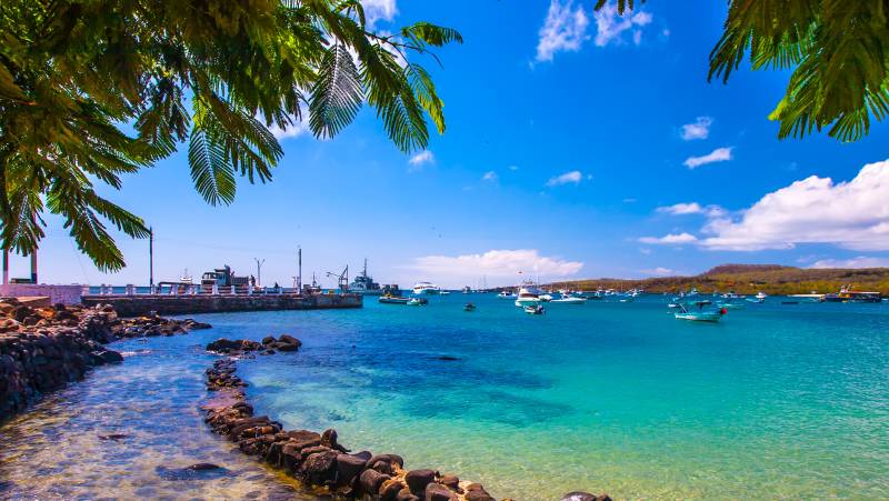 Highlights of Ecuador & the Galapagos