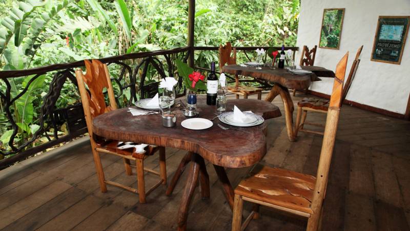 Highlights of Ecuador & the Galapagos