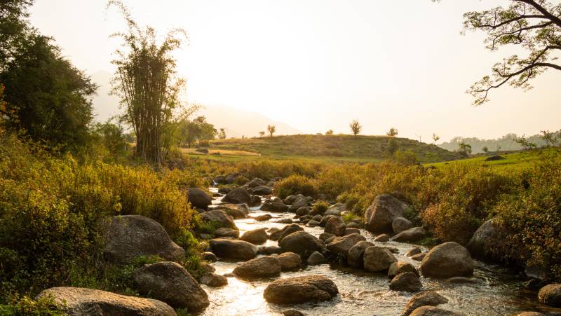 Foothills of the Himalaya