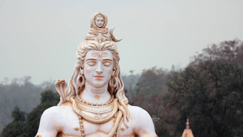 Foothills of the Himalaya