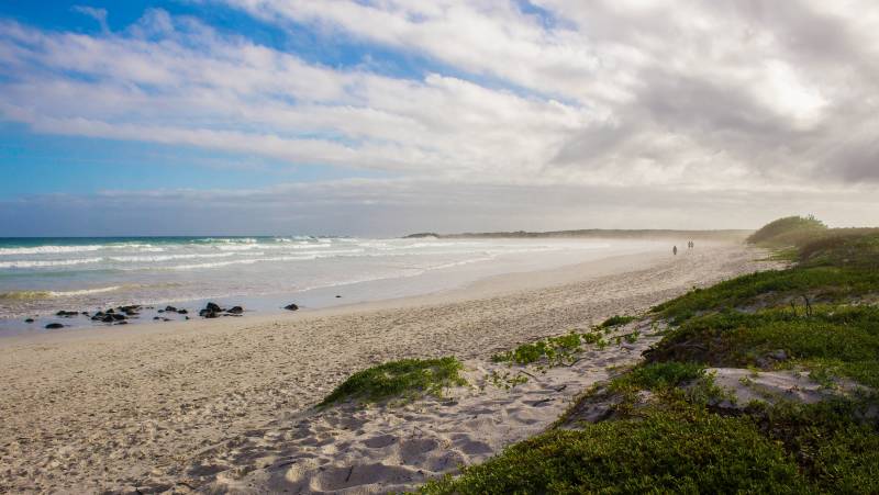 Highlights of Ecuador & the Galapagos