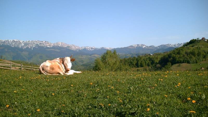 Summits of the Transylvanian Alps