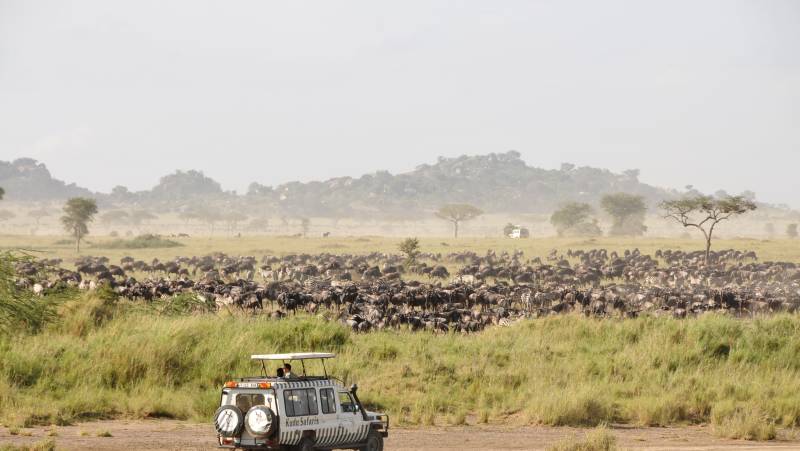 Tanzania Safari Adventure