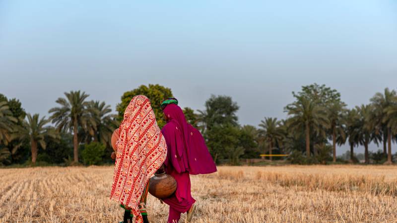 Foothills of the Himalaya