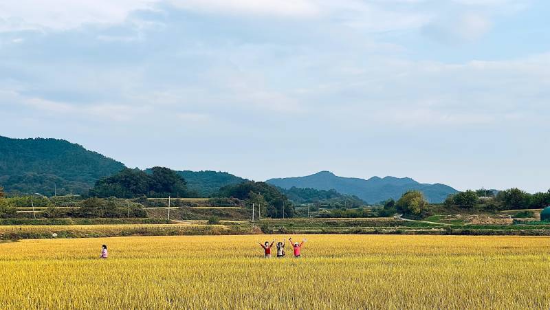 Discover South Korea