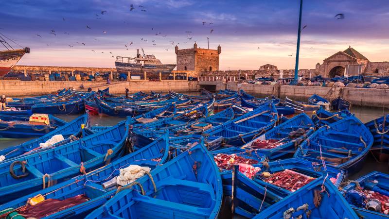 Morocco: Mountains, Desert & Coast