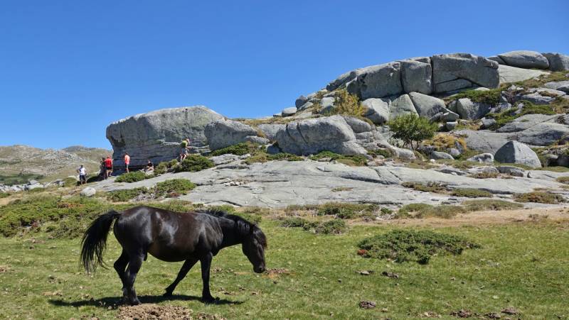 Trek the GR20 of Corsica