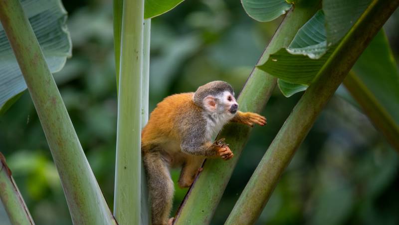 Discover Costa Rica – Coastal Edition