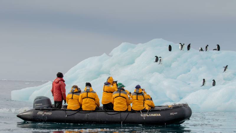 Antarctic Express: Cruise South, Fly North