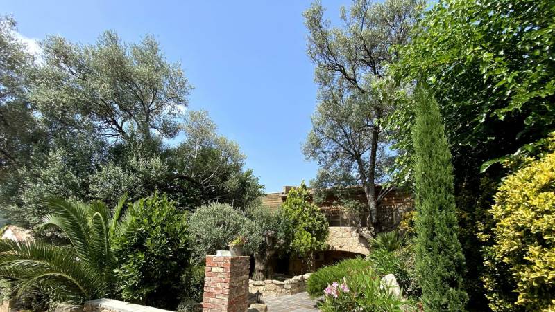 Trek the GR20 of Corsica