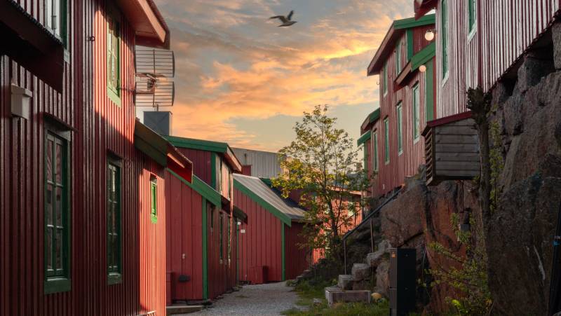 Live Lofoten, Stamsund