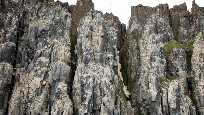 Svalbard Explorer: Best of High Arctic Norway