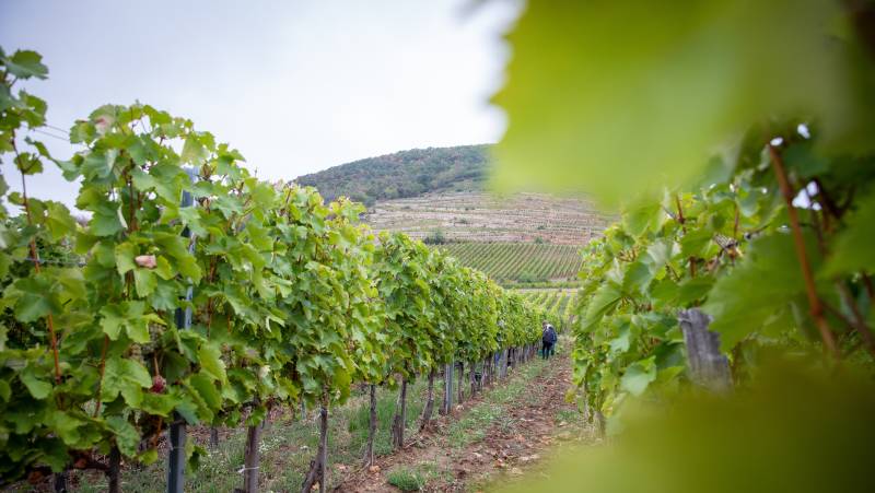 Budapest to Istanbul Adventure