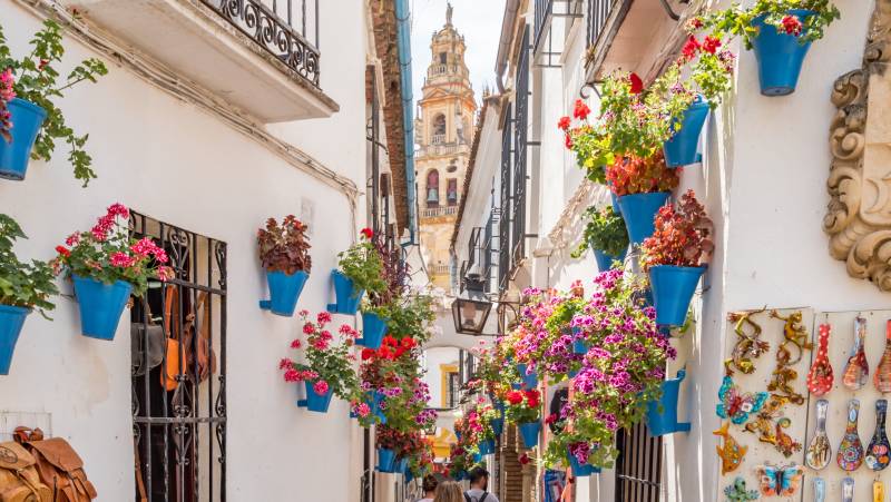 Highlights of Spain by Rail