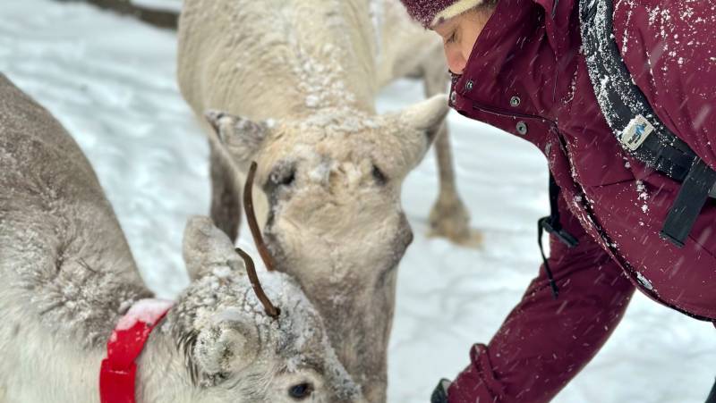 Finland Family Winter Adventure