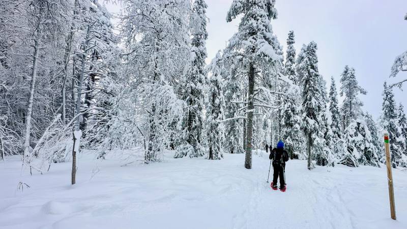 Finland Family Winter Adventure