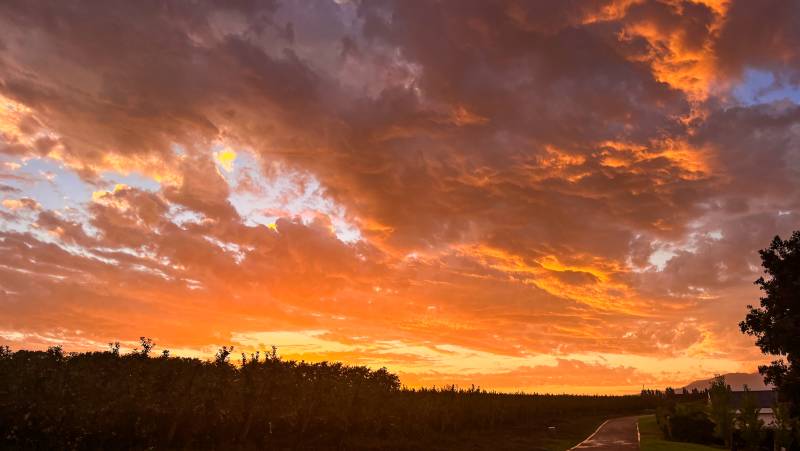 Cycling South Africa's Route 62 sunset on route