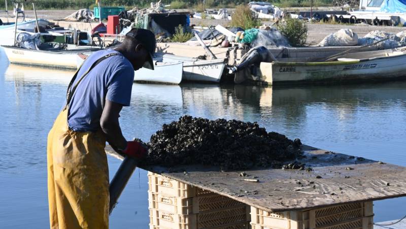 Cycling the Mediterranean Coast in Spain