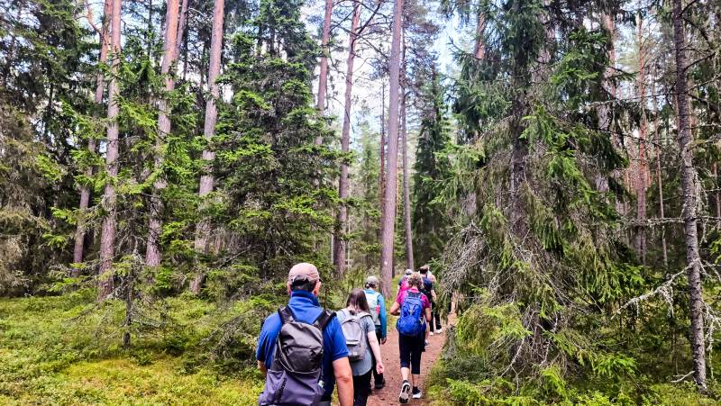 Estonia to Finland Adventure