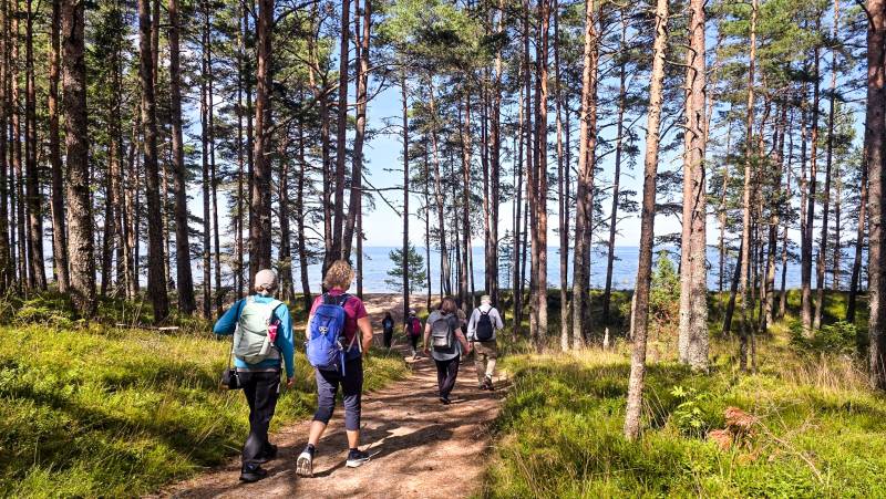 Estonia to Finland Adventure