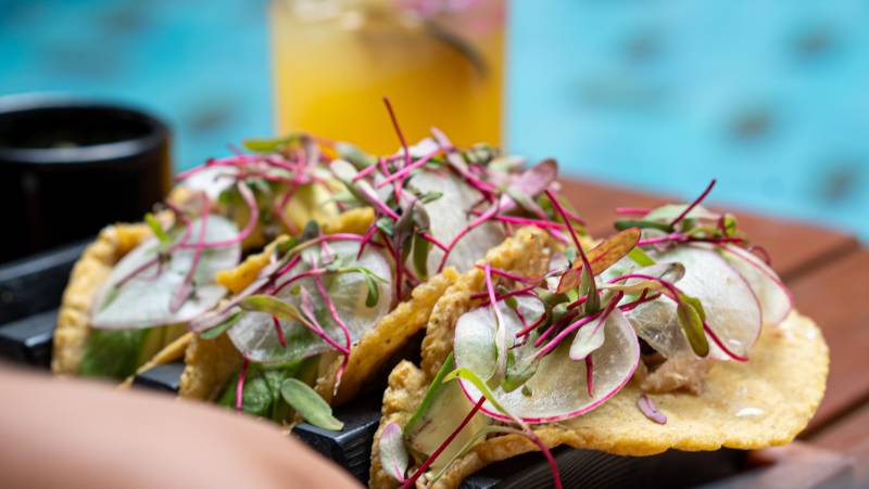 Mexico’s Yucatán Adventure