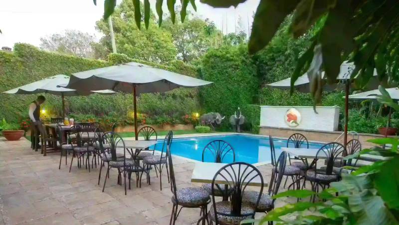 Tanzania Safari Adventure