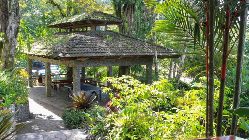 Aguila de Osa Rainforest Lodge
